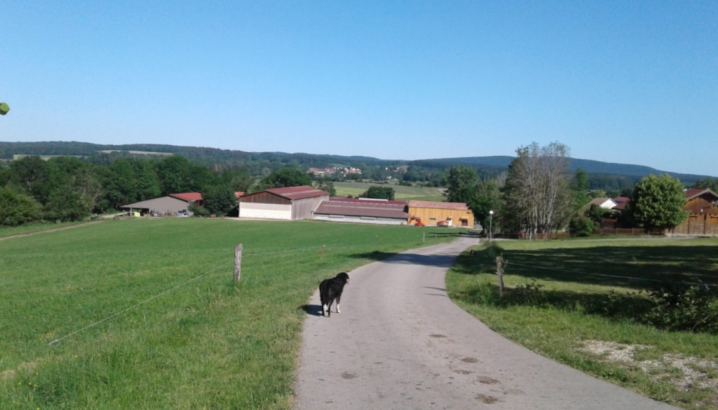 Vacances d’été 2026 : découvrez les Chalets des Chemins Verts dans le Jura !